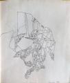 Kutyafej, 1996, tus, ceruza, papír, 50x43 cm