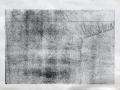 Madár, 1972 kl, monotípia, papír, 480x710 mm