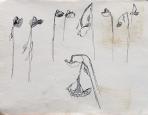 Napraforgók, Vázlatok VII. 14, (spirálfüzet), 1988 kl, tus, papír, 24x33 cm