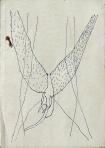 Ördögbőr, 1998-01 kl, tus, papír, 21x30 cm