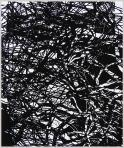 Ágak-Korpusz, 2005, számítógépes grafika, papír, 229x191 mm Ágak-Korpusz, 2005, számítógépes grafika, papír, 229x191 mm
