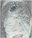 Pierrot (Egyszemű), 2005, számítógépes grafika, papír, 143x120 mm, (magántulajdon)